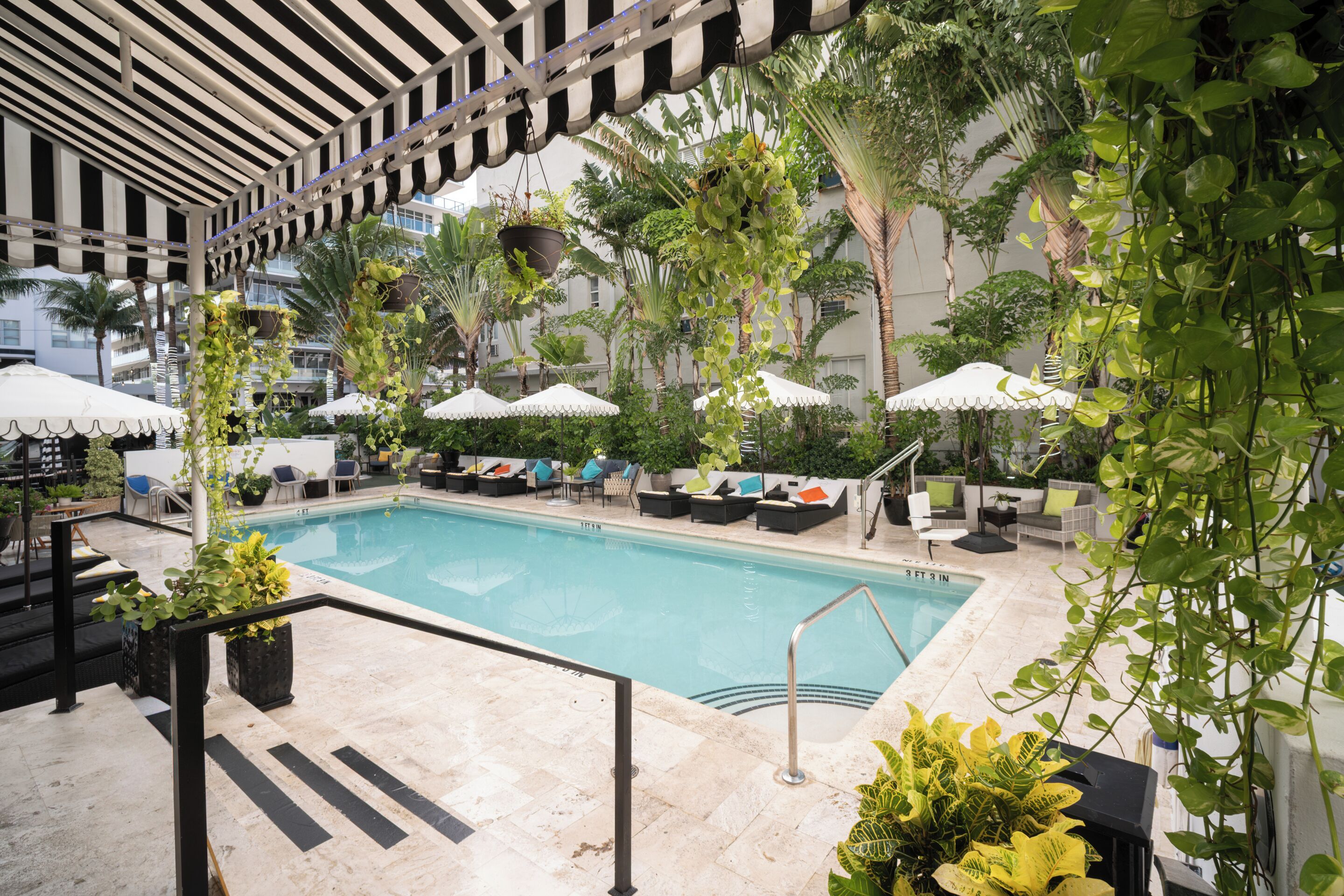 Hồ bơi ngoài trời, dù/ô trên bãi biển/hồ bơi, ghế dài tắm nắng 