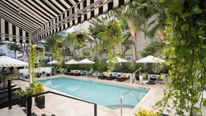 Outdoor pool, pool umbrellas, pool loungers - Hotel Croydon (Miami Beach)