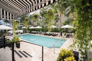 Una piscina al aire libre, sombrillas, sillones reclinables de piscina