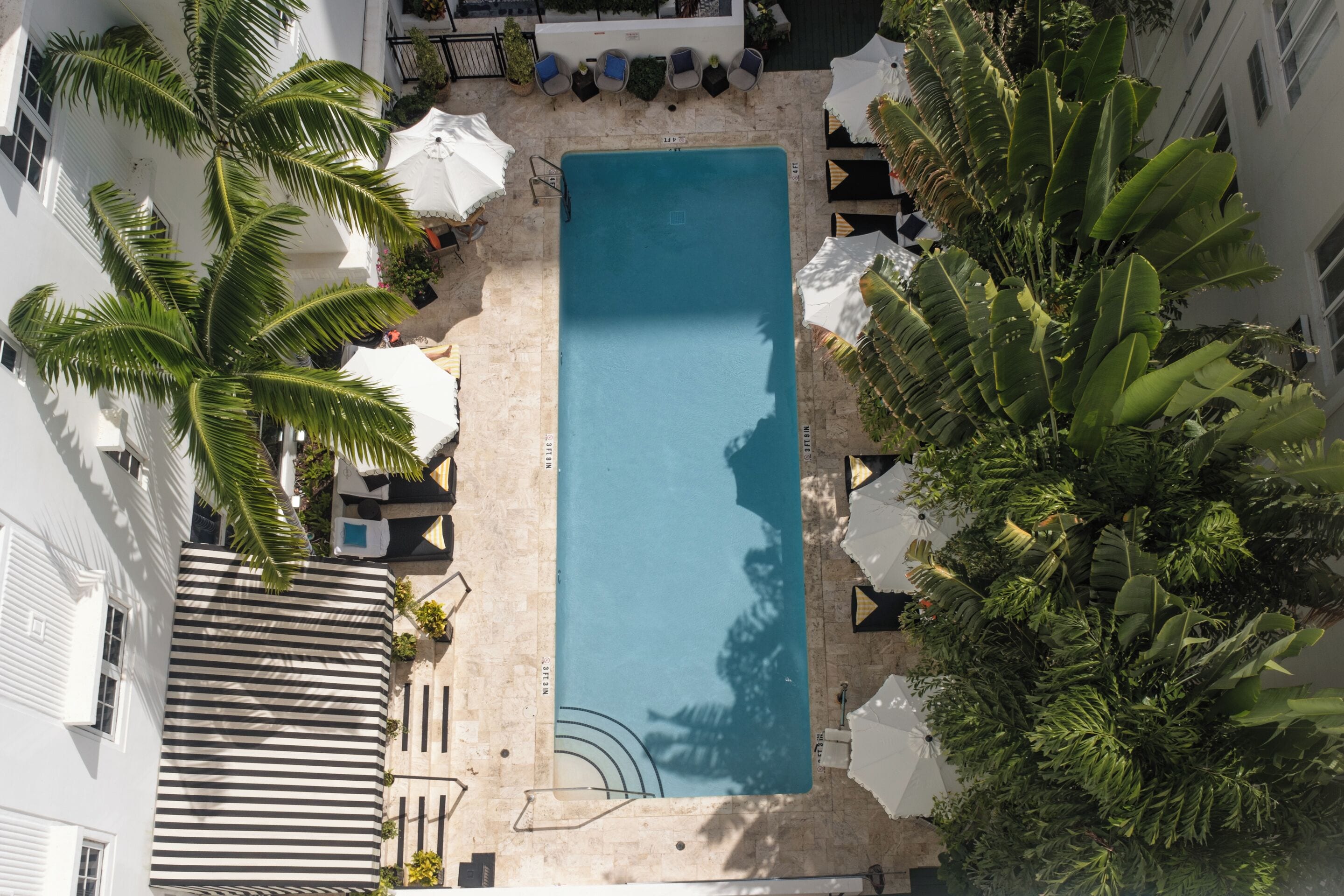 An aerial view of a rectangular swimming pool surrounded by lounge chairs and umbrellas, with palm trees and a building in the background.