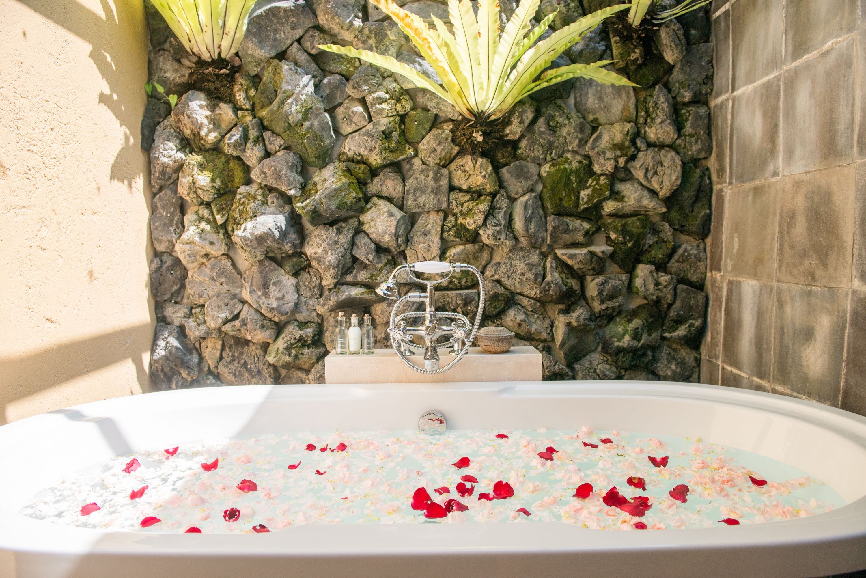 suite | deep-soaking bathtub