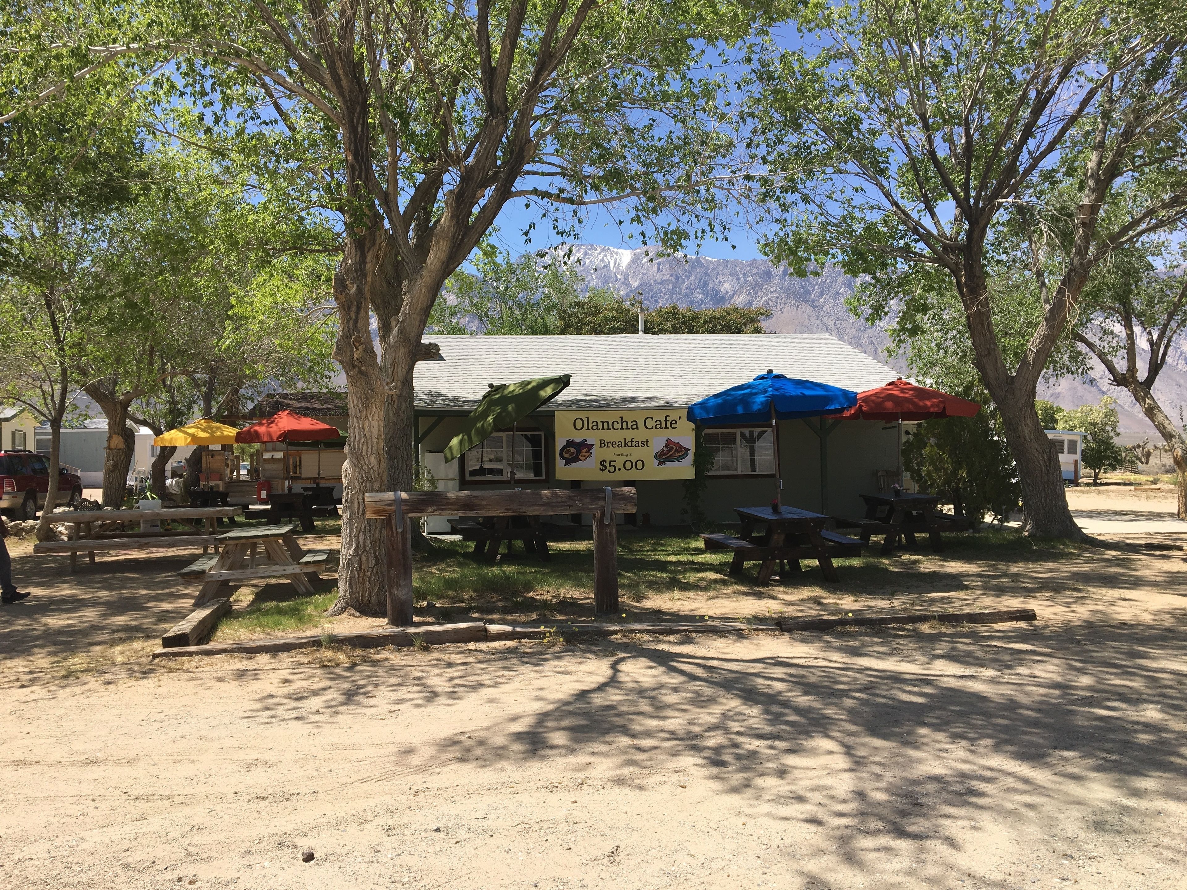 Un café al aire libre con mesas tipo picnic y sombrillas, rodeado de árboles y con una montaña al fondo.