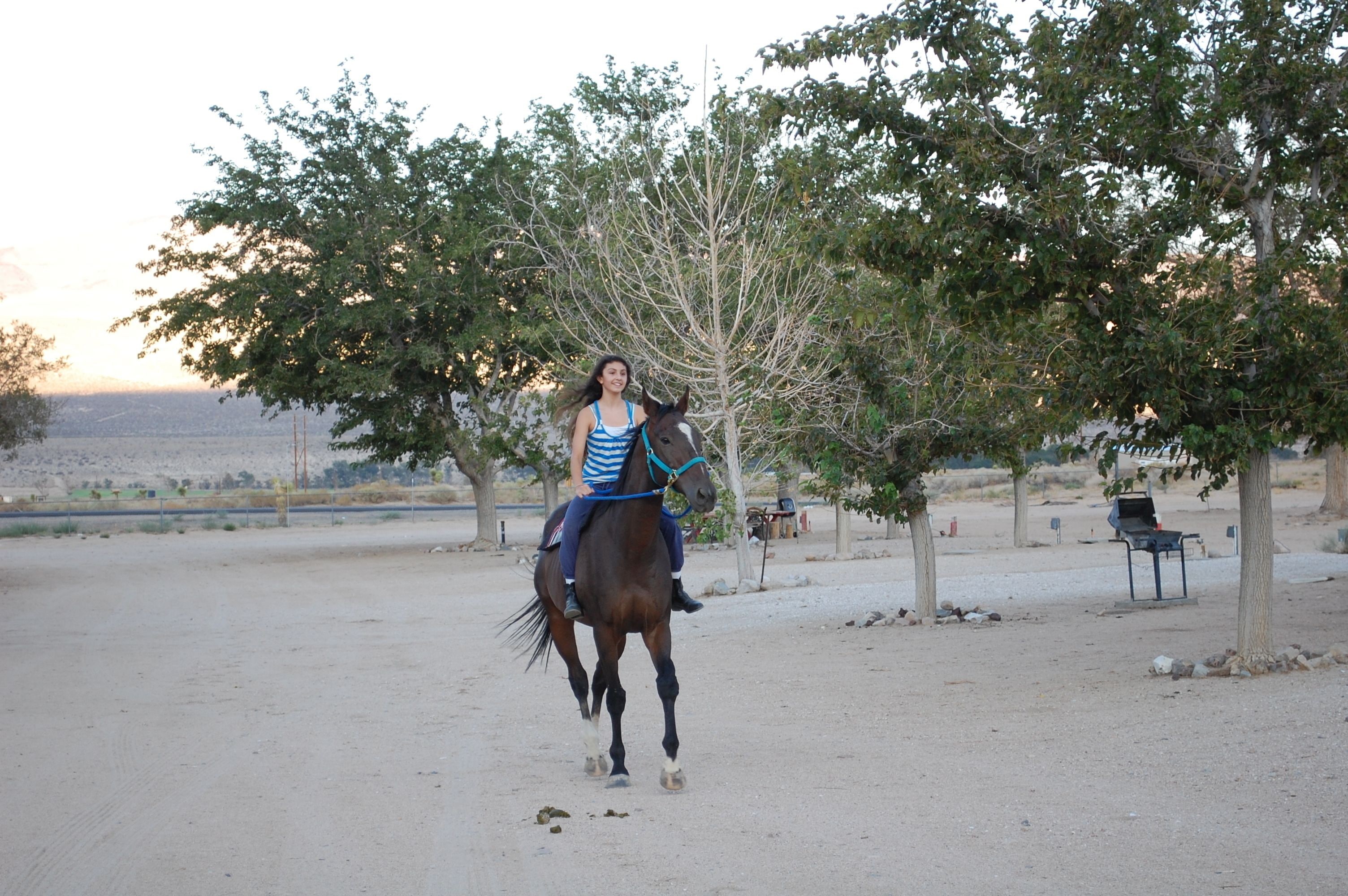 A person riding a horse in a fenced outdoor area with trees and a barbecue grill.