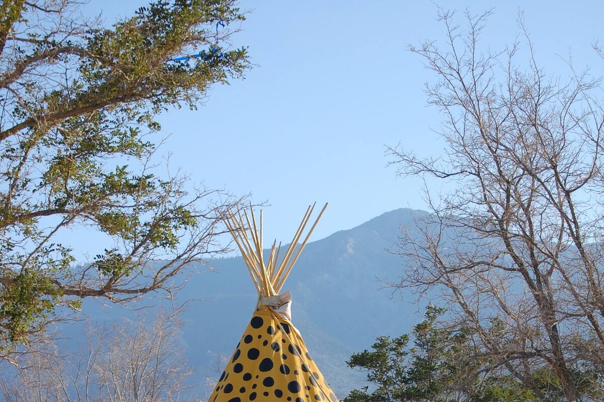 帐篷房, 多张床, 山景 | 高档床上用品、免费 WiFi、床单