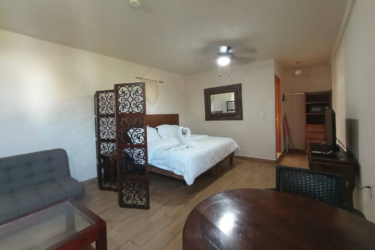 Suite estudio ejecutiva, 1 cama de matrimonio grande, frigorífico y microondas, planta ejecutiva | Edredones de plumas, colchones Select Comfort, caja fuerte y wifi gratis
