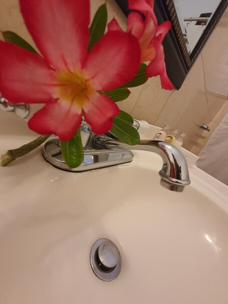 Fortaleza Suites - Image 44