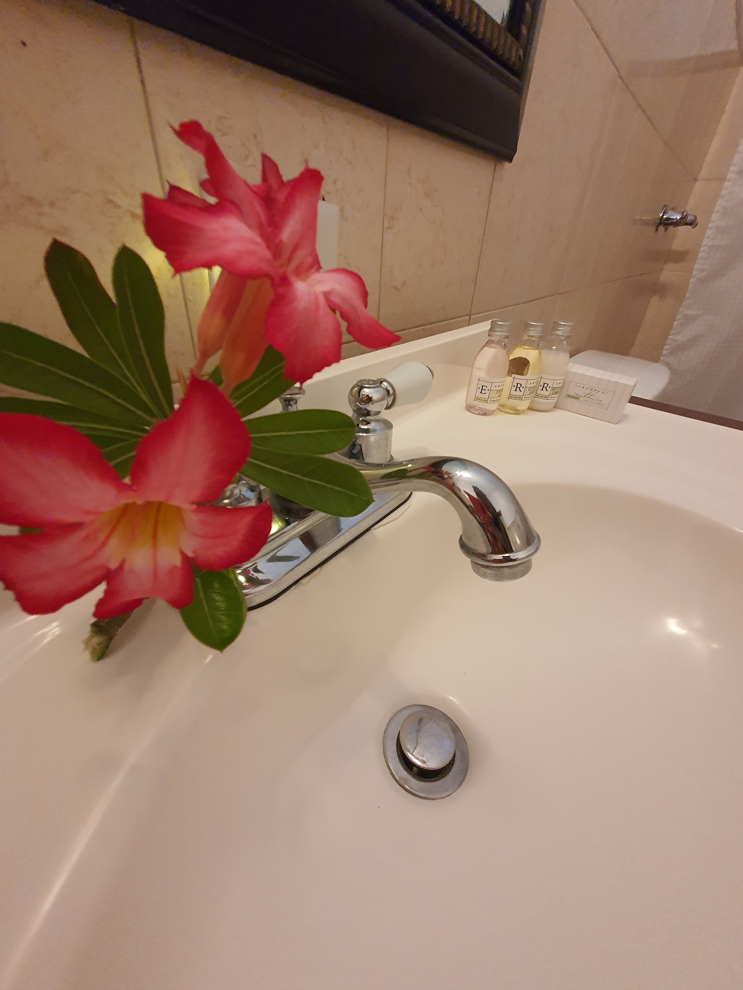 Foto - Fortaleza Suites Old San Juan