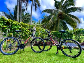 Fahrrad fahren