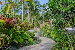 A garden pathway surrounded by various tropical plants and trees. - Rarotonga Daydreamer Escape (Rarotonga)