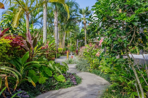 Rarotonga Daydreamer Escape