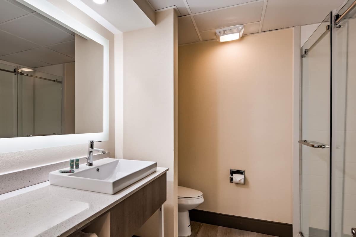 Banheiro | Produtos de toalete grátis, secador de cabelo, toalhas de banho