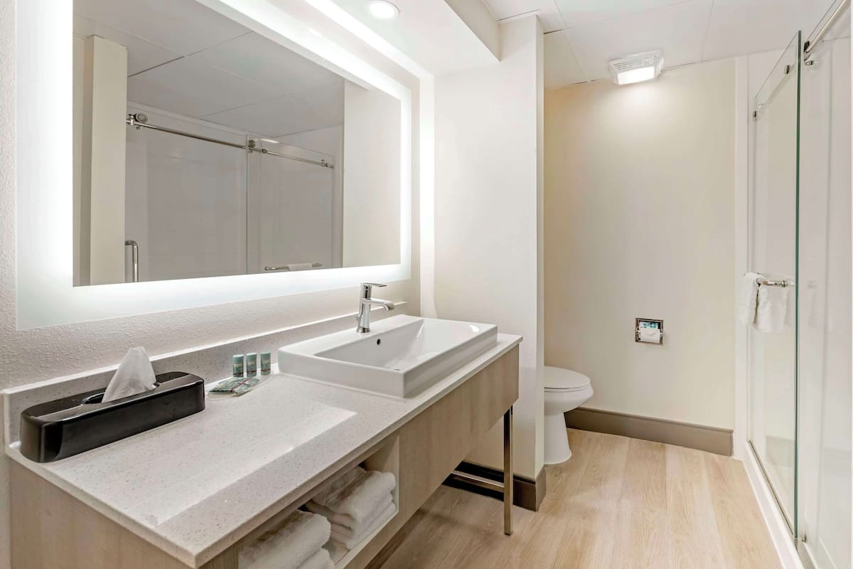 Suite, 2 letti queen, non fumatori, frigorifero e microonde (with Sofabed) | Bagno | Set di cortesia gratuito, asciugacapelli, asciugamani, sapone