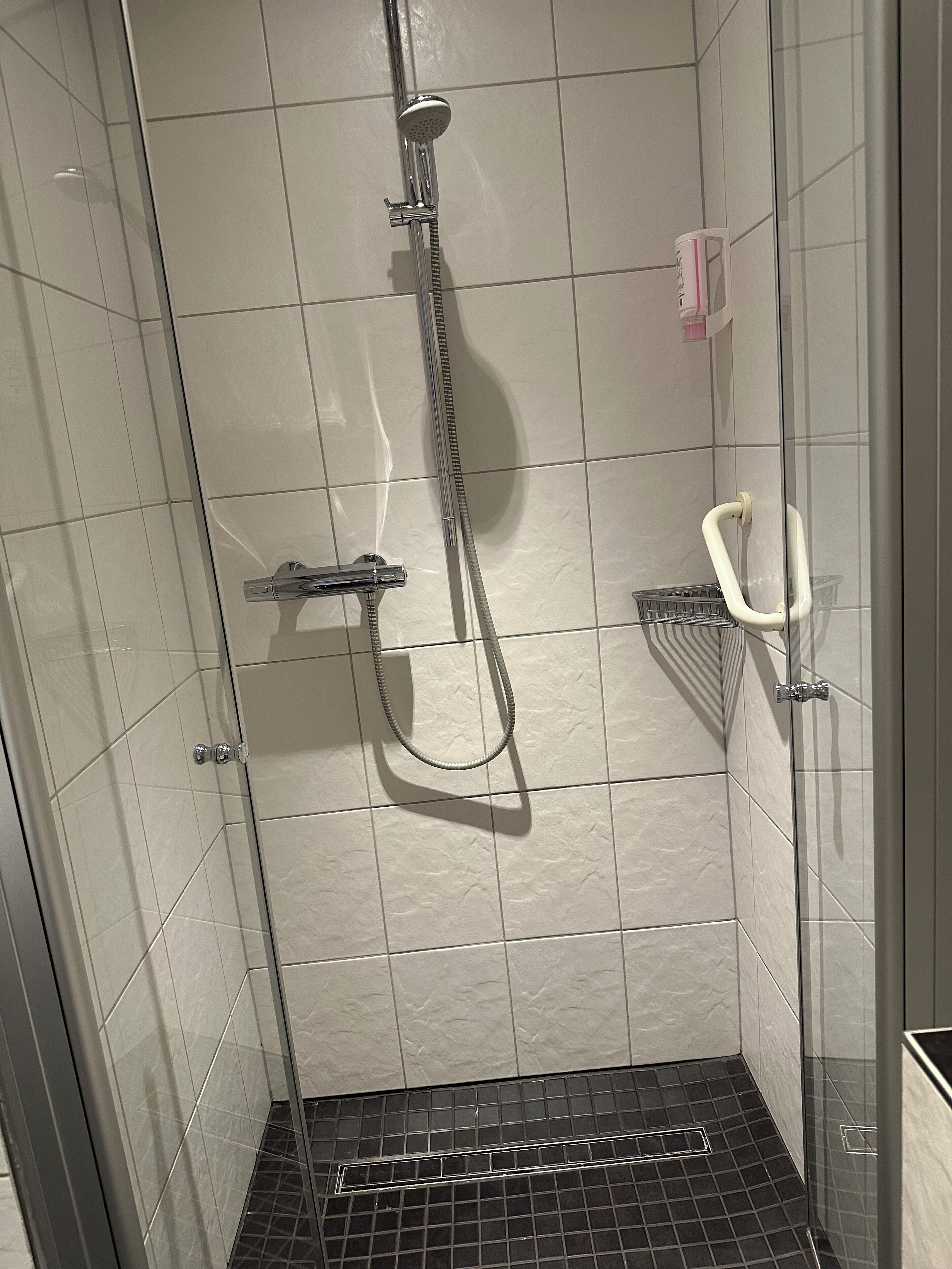 economy twin room | bathroom | shower, hair dryer, towels