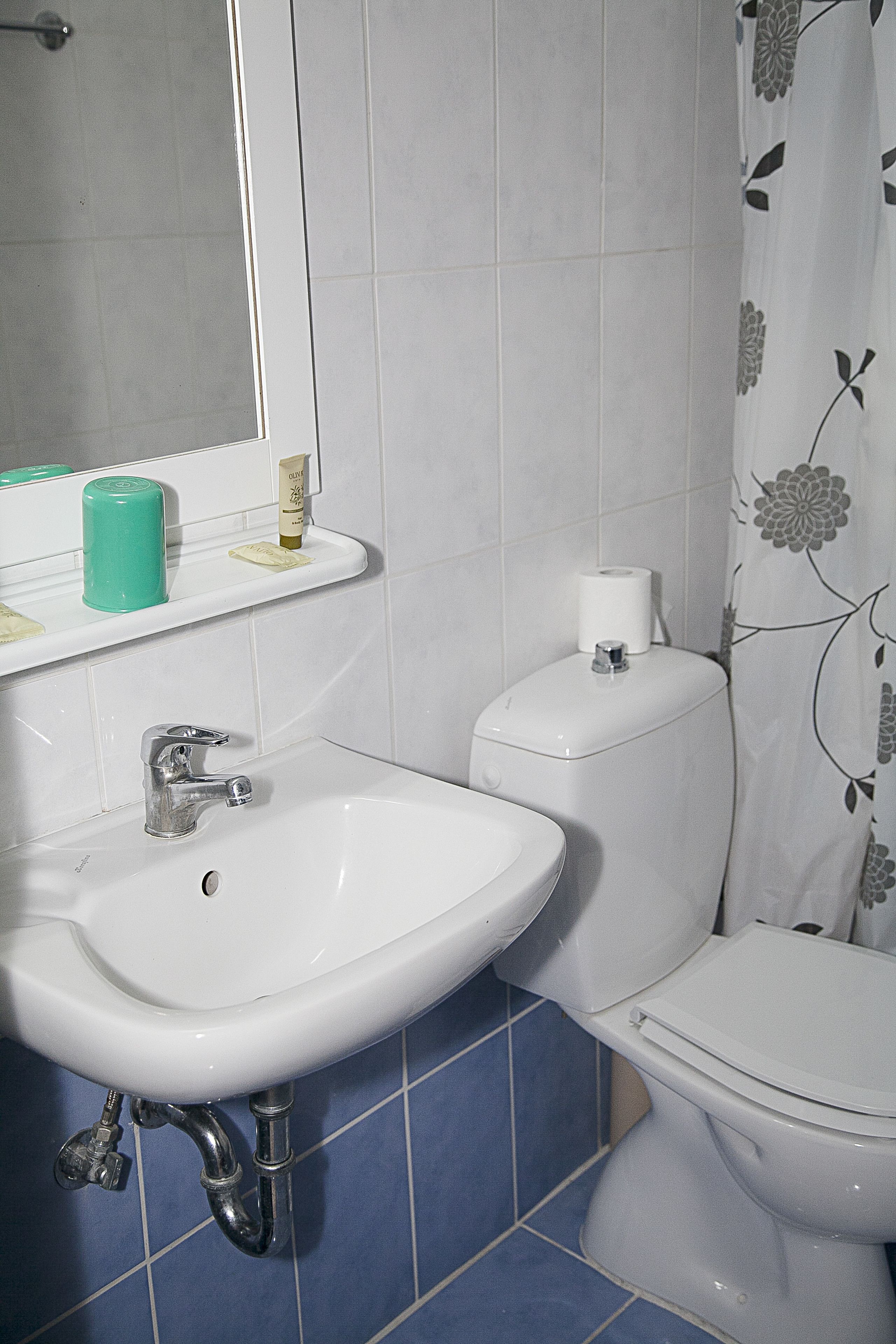 twin room | bathroom | shower, rainfall showerhead, free toiletries, hair dryer