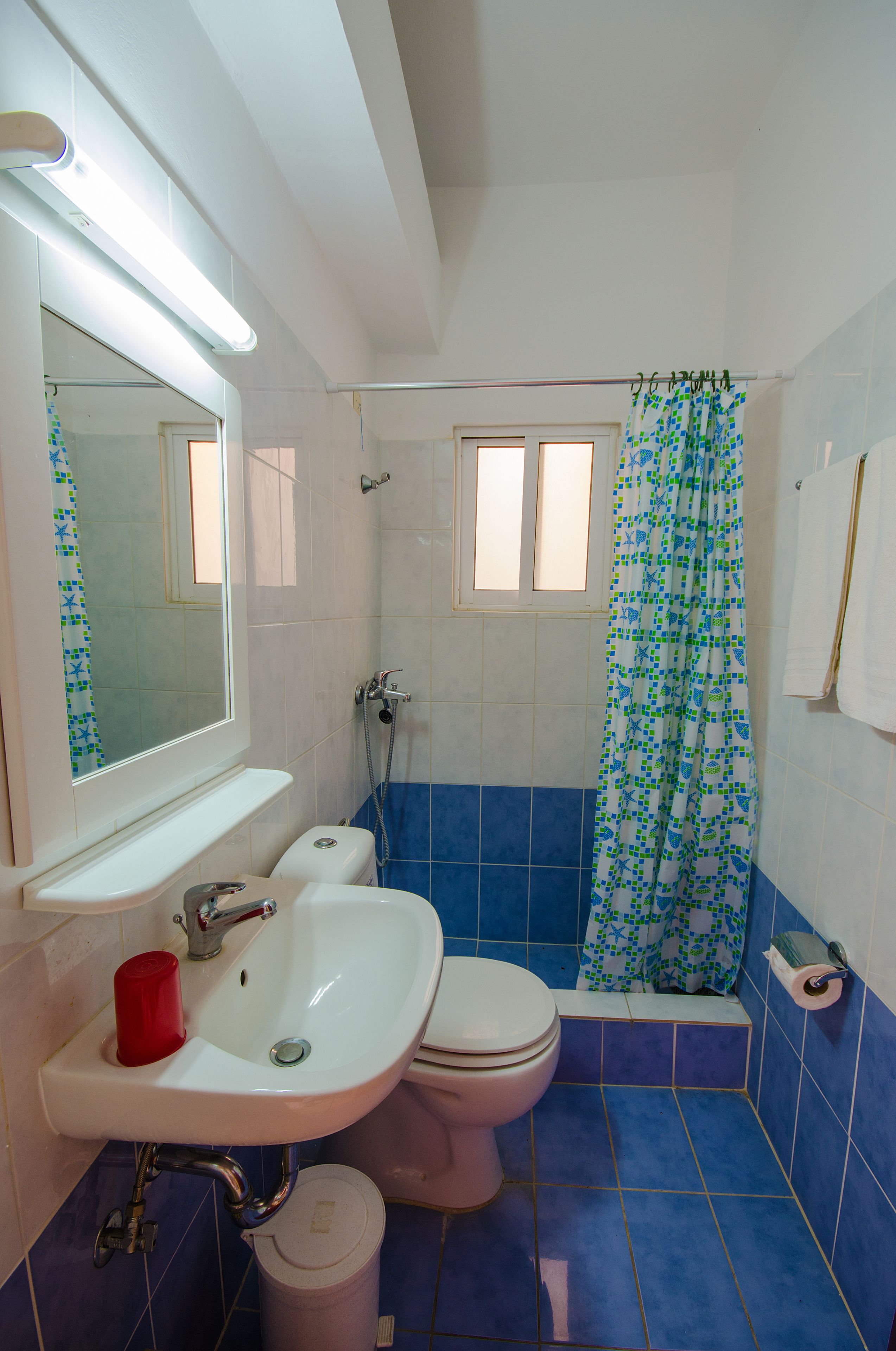 shower, rainfall showerhead, free toiletries, hair dryer