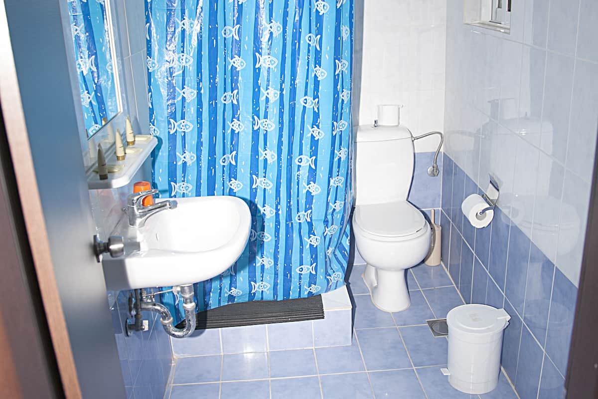 triple room | bathroom | shower, rainfall showerhead, free toiletries, hair dryer