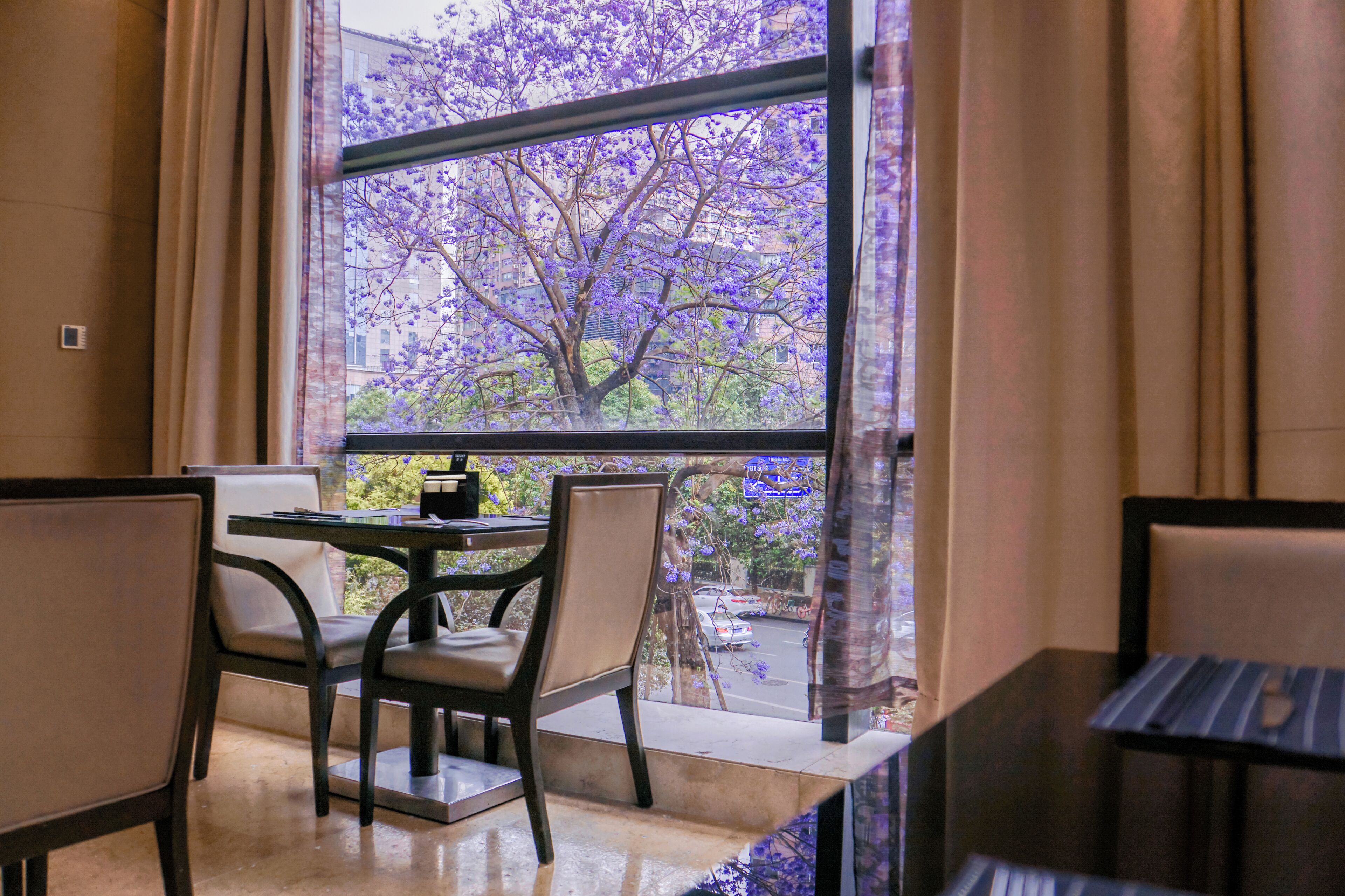 A room with a table and chairs, a window with a view of trees and a building.
