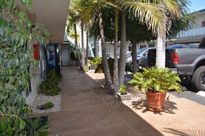 Property grounds - Seaside Motel (Redondo Beach)