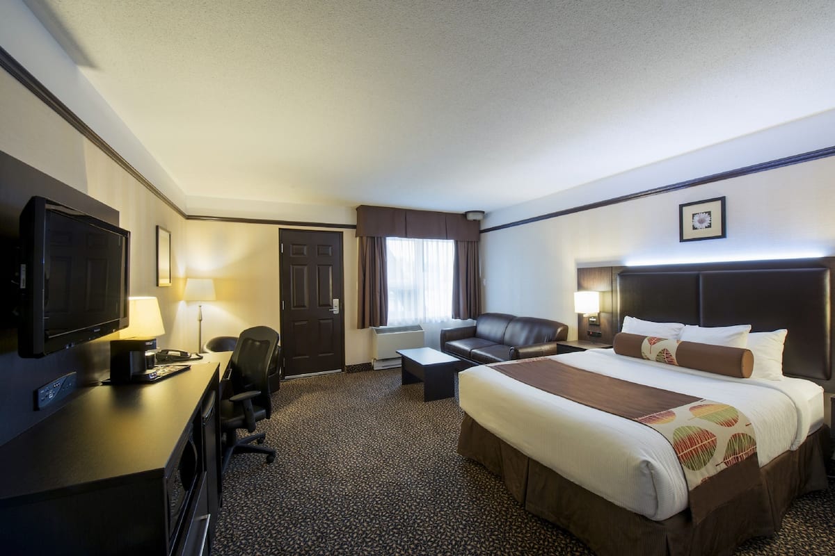 A hotel room with a bed, a desk with a TV, a chair, a sofa, and a window with curtains.