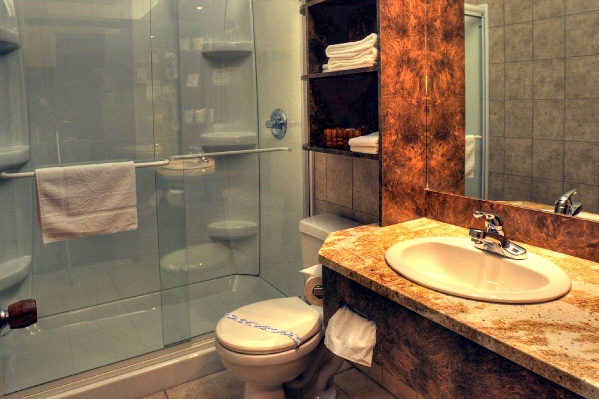 shower, designer toiletries, hair dryer, towels