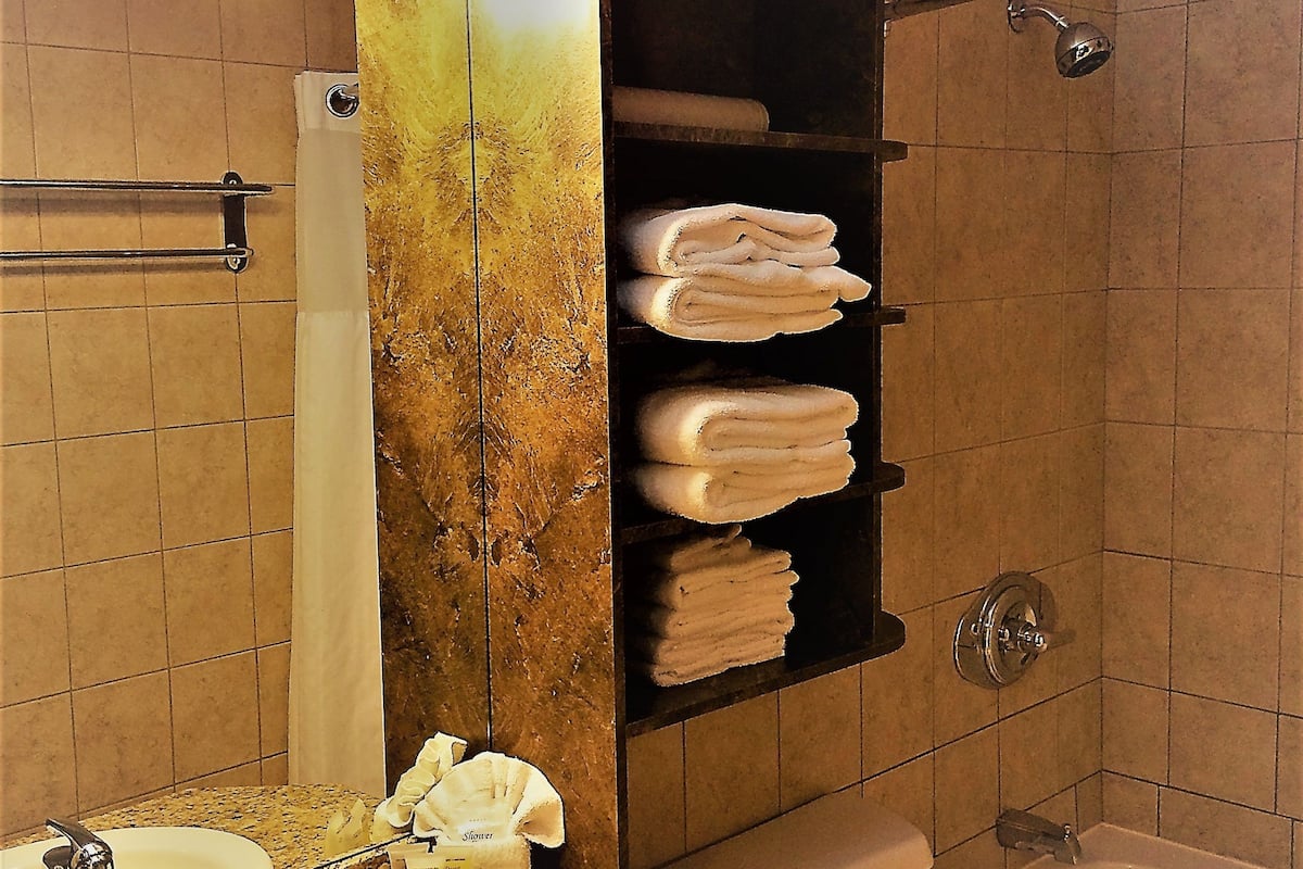 shower, designer toiletries, hair dryer, towels
