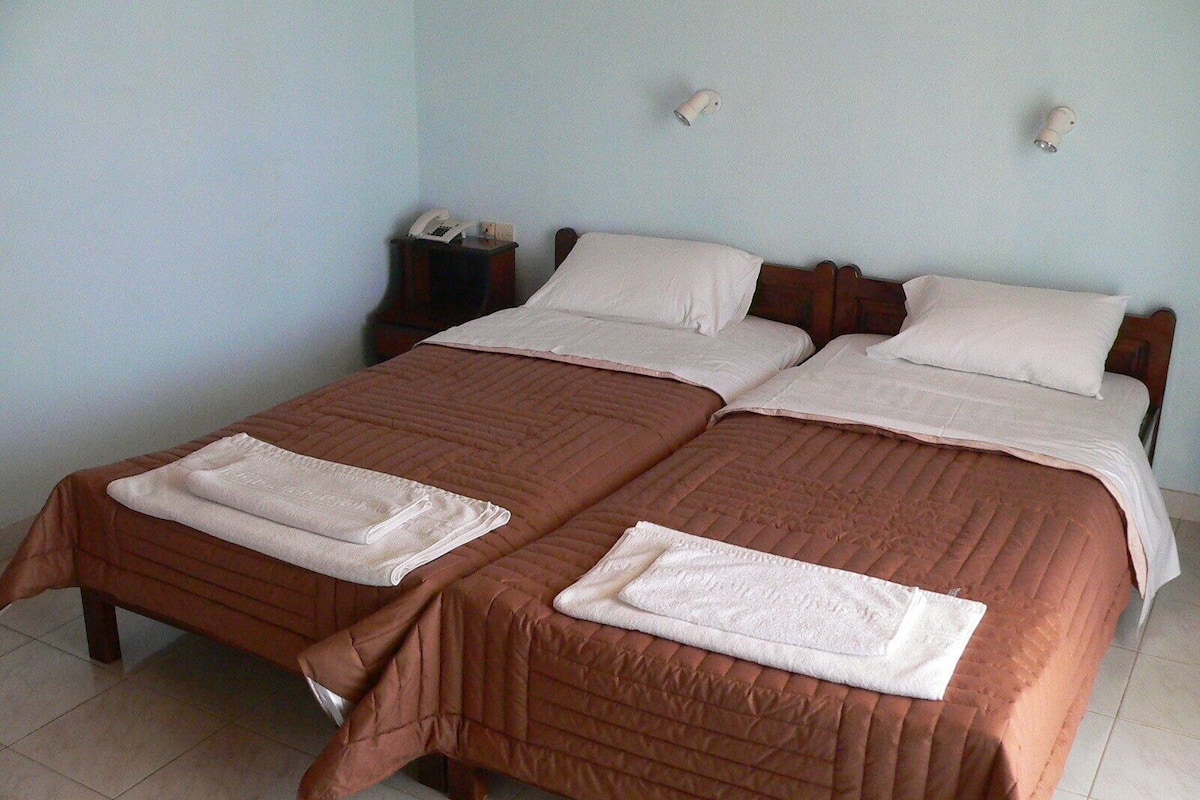 Chambre classique avec lits jumeaux | Draps en coton égyptien, literie de qualité