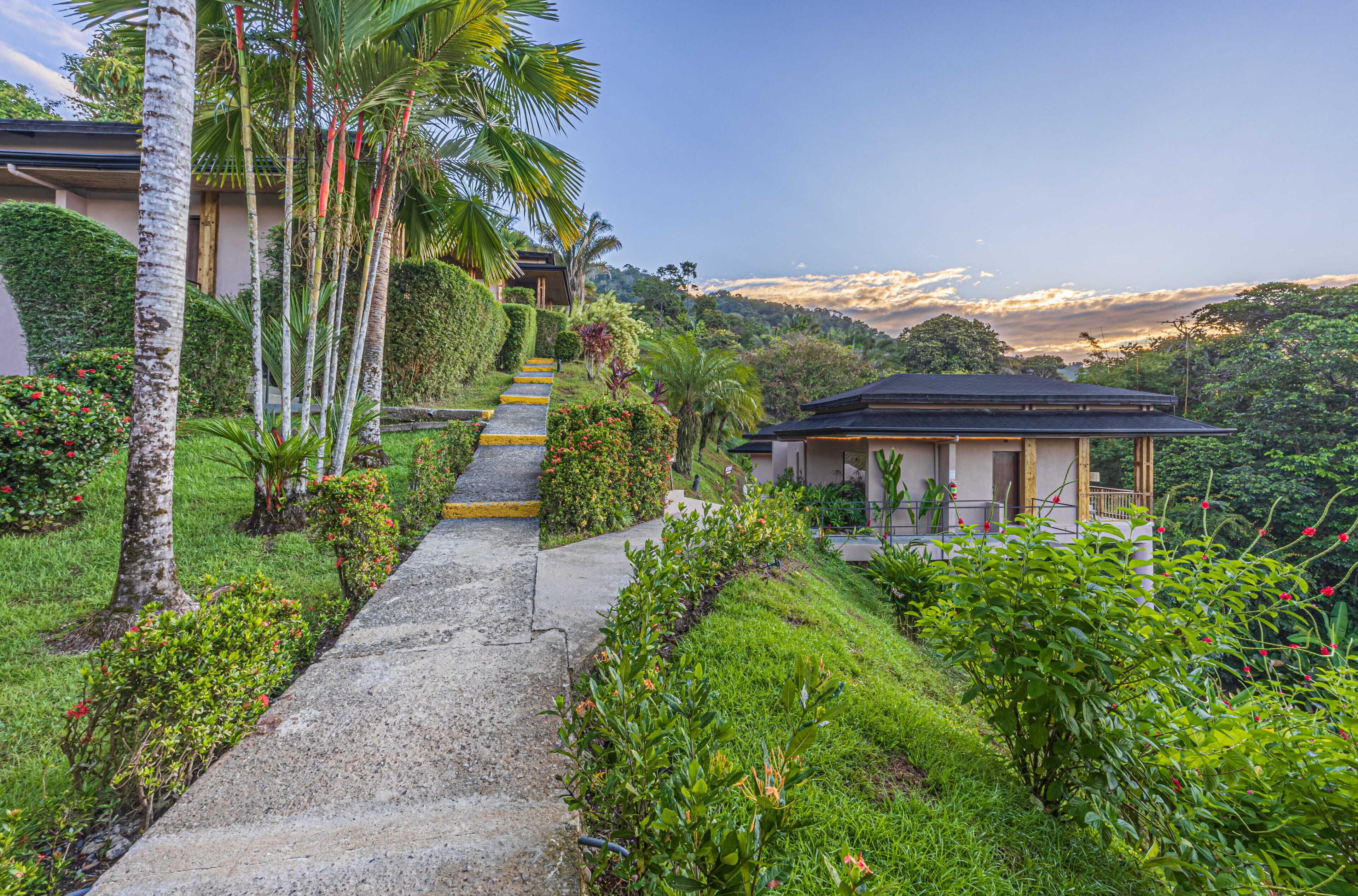 A pathway leading to a house surrounded by lush greenery and a view of a distant mountain range.