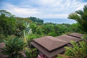 View from property - Tiki Villas Rainforest Lodge & Spa (Bahía Ballena)