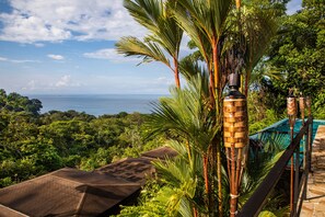 View from property - Tiki Villas Rainforest Lodge & Spa (Bahía Ballena)