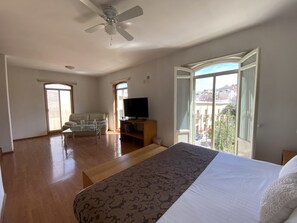 Habitación junior, vista al parque | Vista desde la habitación