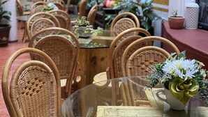 Uma sala de jantar com cadeiras e mesas de vime, plantas em vasos e uma parede amarela.