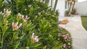 Un jardin avec un feuillage verdoyant et des fleurs roses devant une maison.