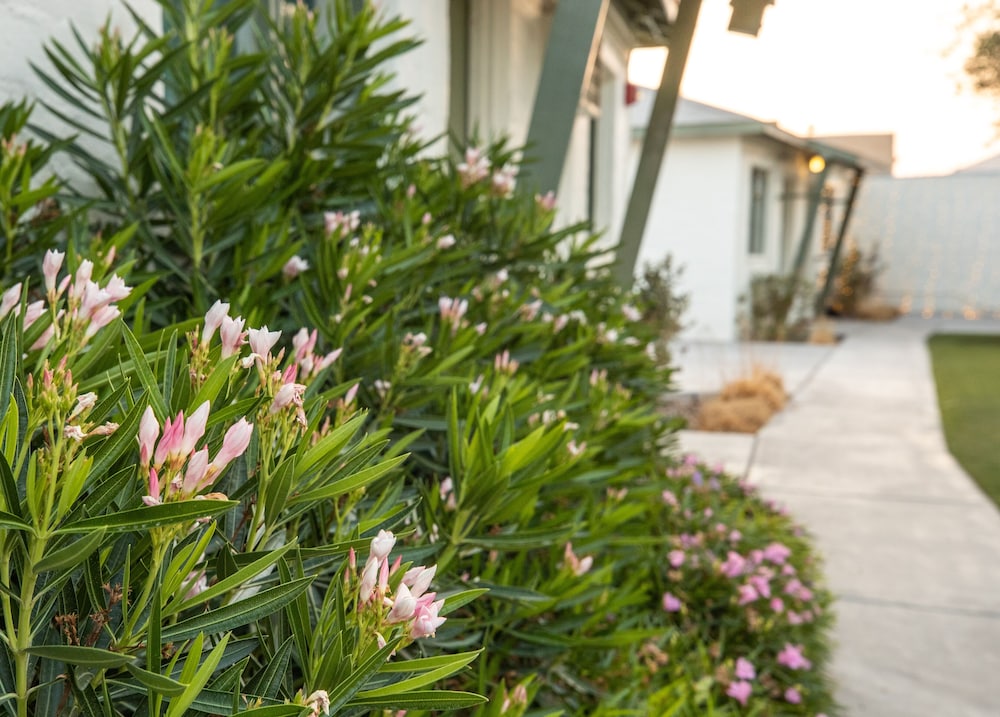 Bungalows Hostel by null