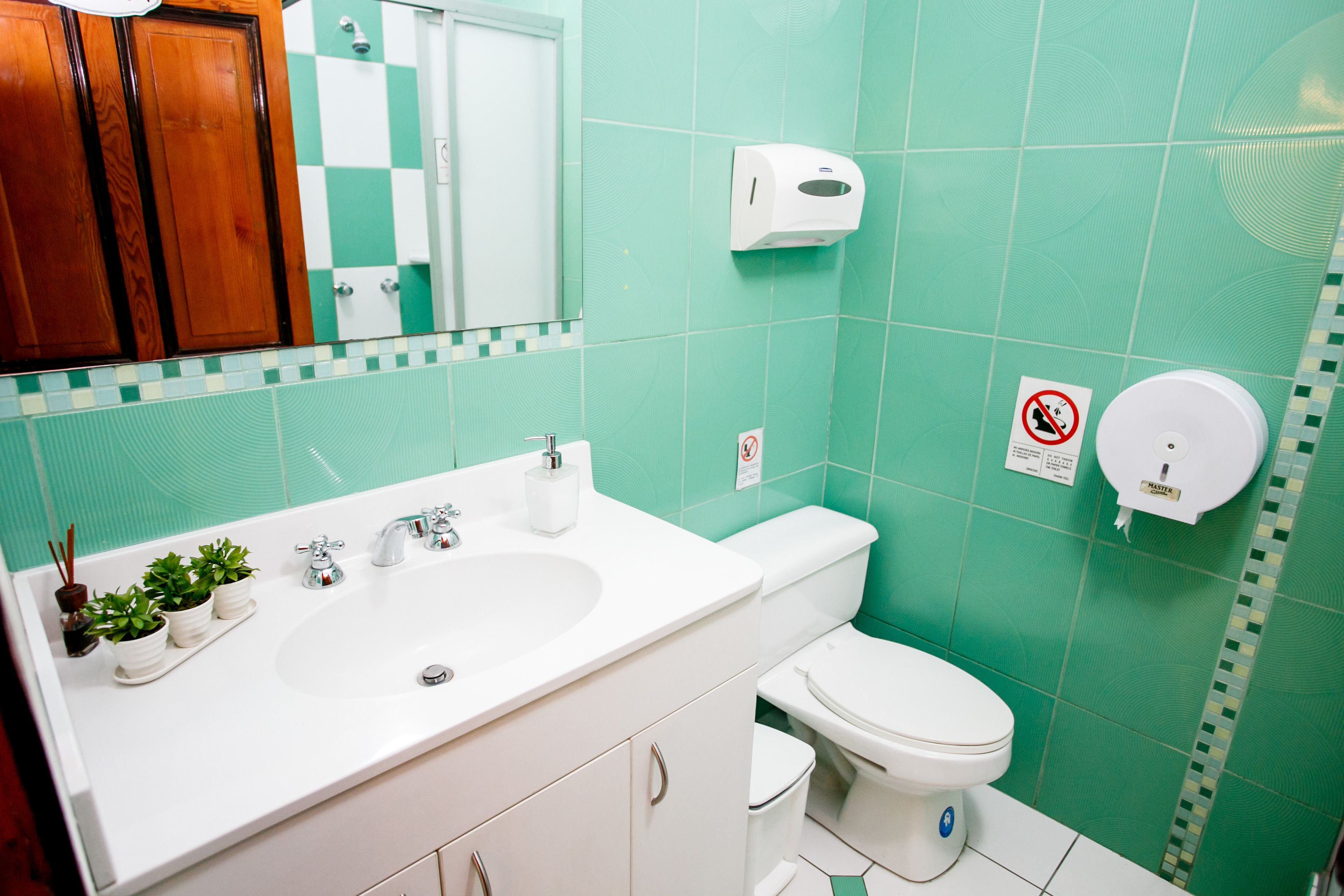 Une salle de bain avec un lavabo blanc, un miroir et des toilettes. Des plantes en pot sont posées sur le comptoir du lavabo.