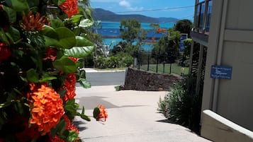 Vista des de l'allotjament