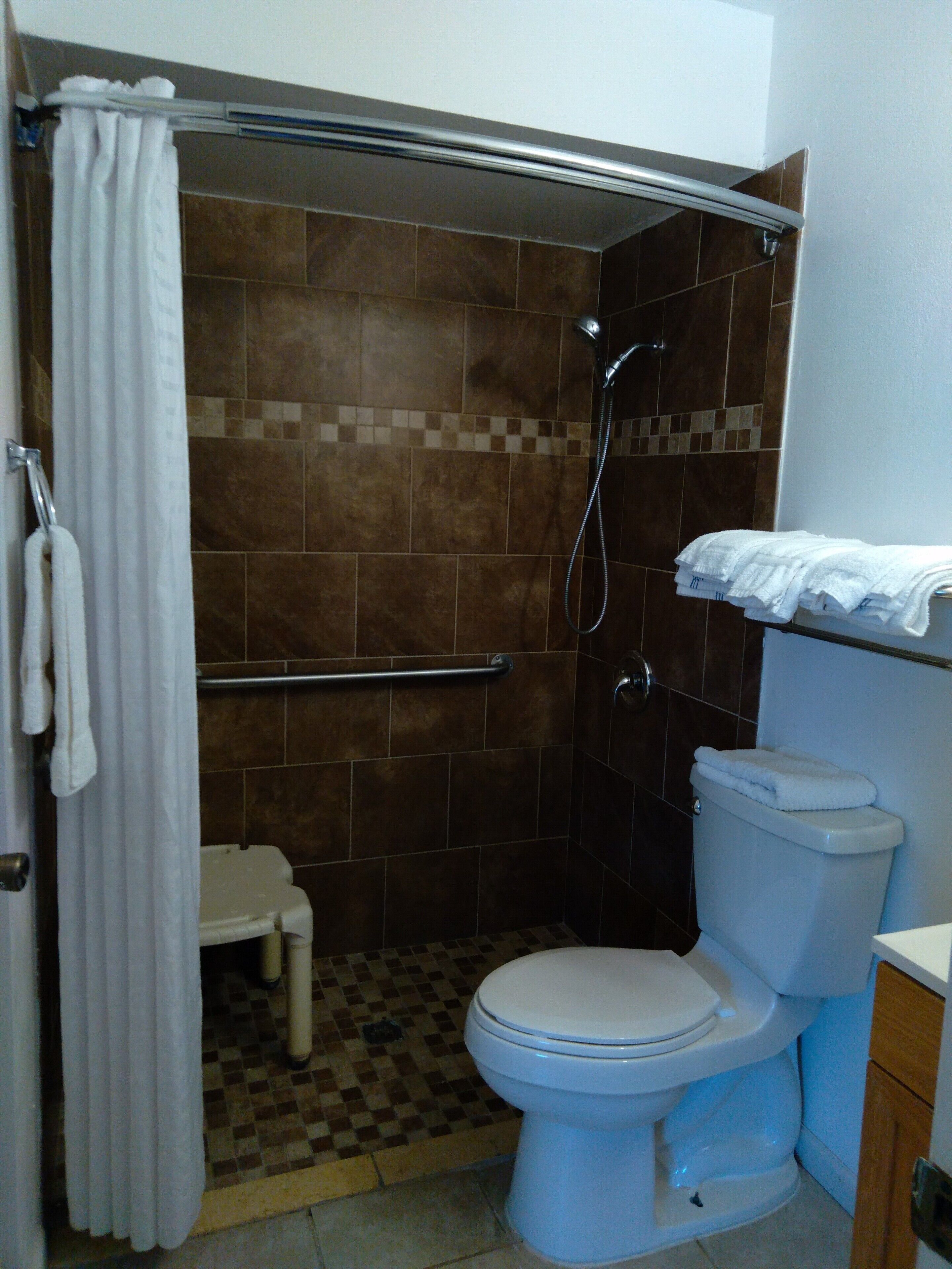 A bathroom with a shower, toilet, and a small step stool.