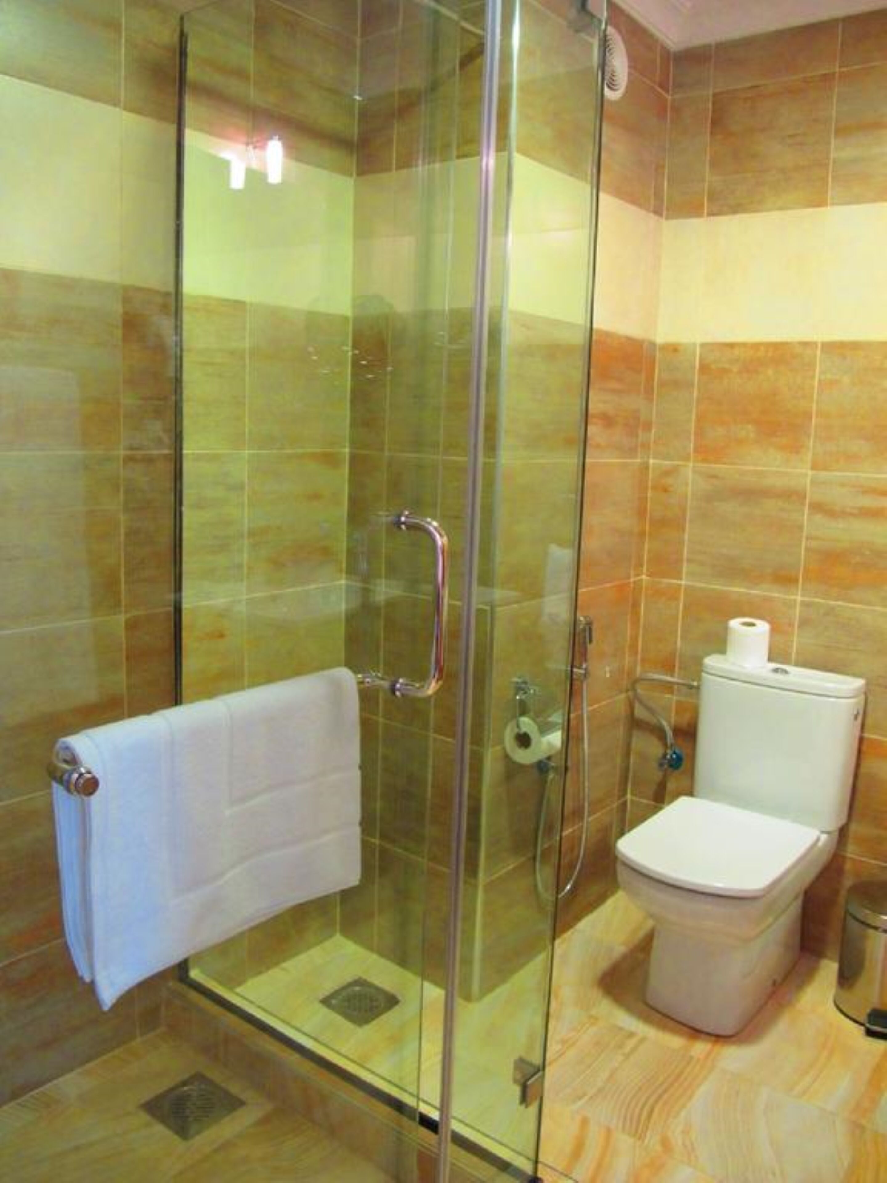 A bathroom with a glass-enclosed shower, a toilet, and a towel rack.