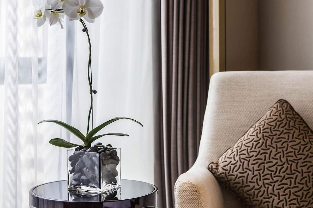 Deluxe Room, 2 Twin Beds | 1 bedroom, premium bedding, minibar, in-room safe