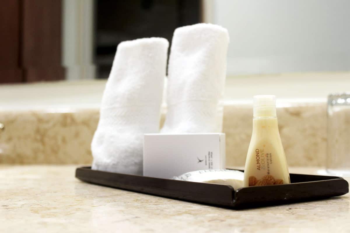 free toiletries, hair dryer, towels