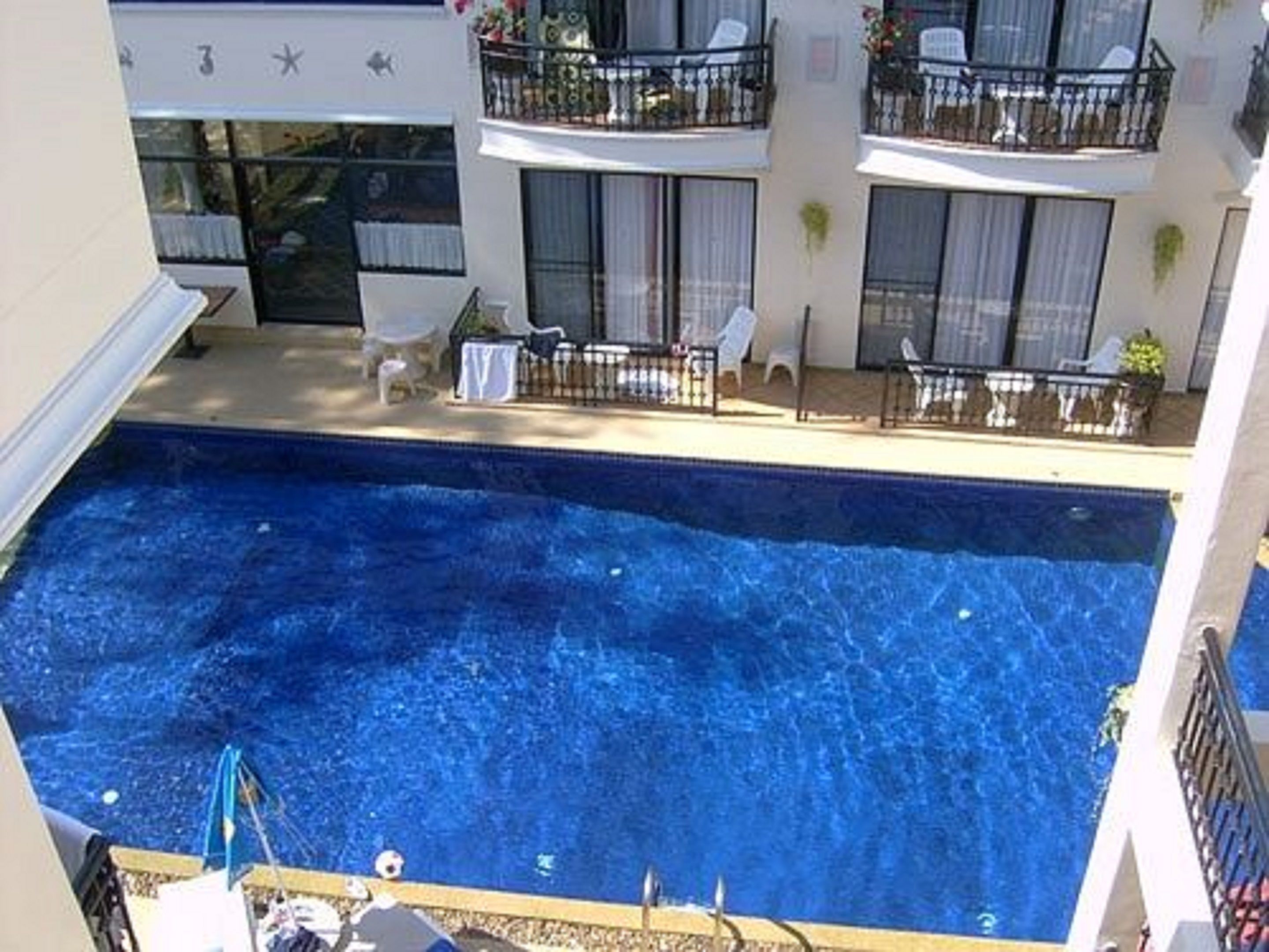 outdoor pool, pool umbrellas, pool loungers