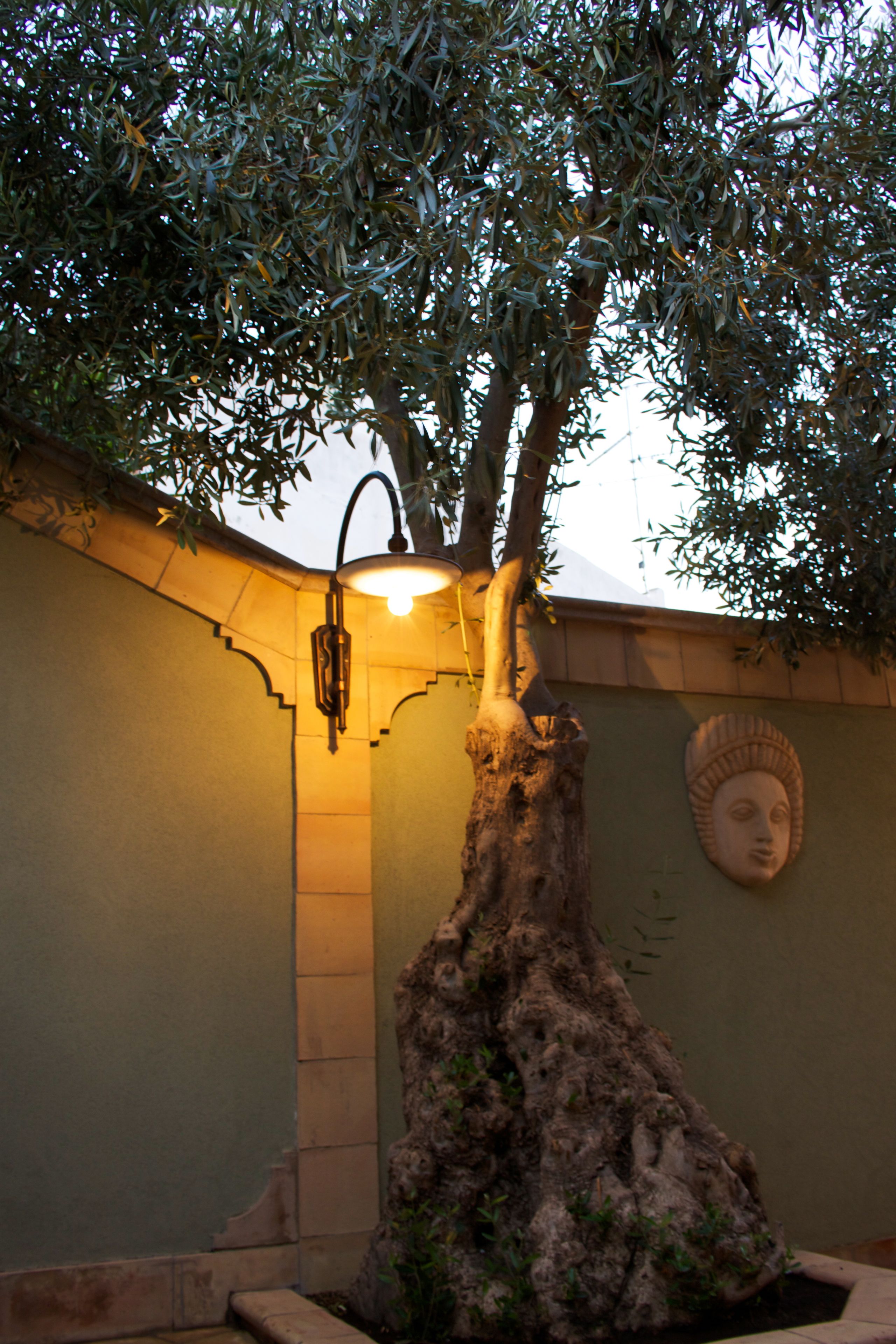 Photo - Villa Cristina