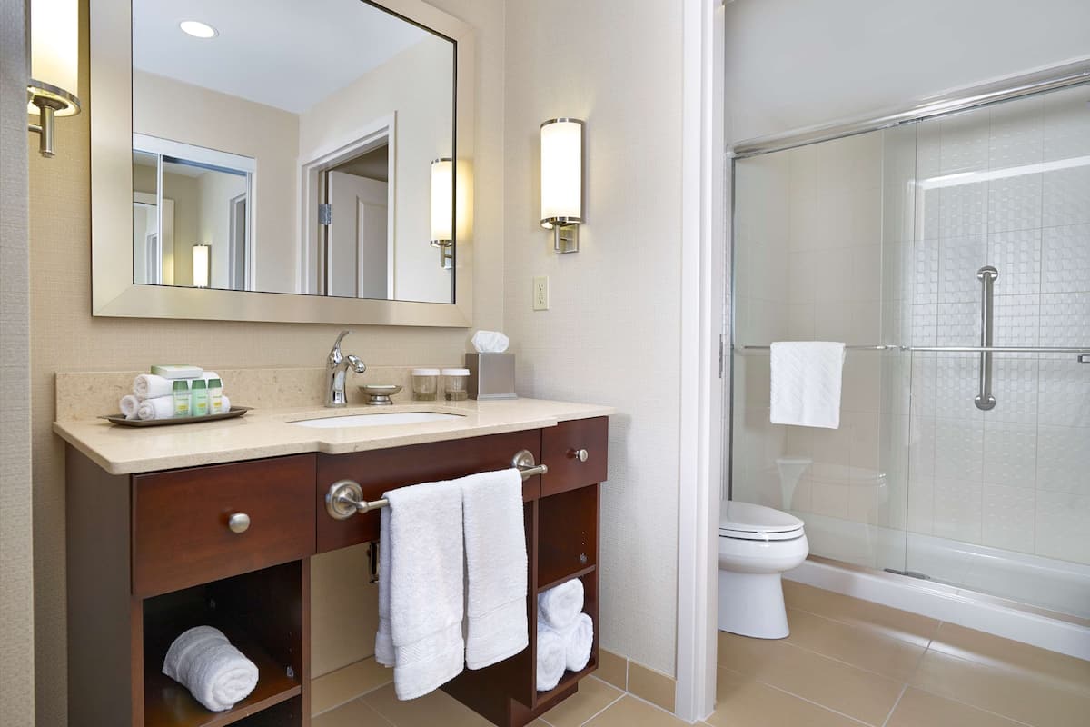 suite, 1 king bed, non smoking (hospitality) | bathroom shower