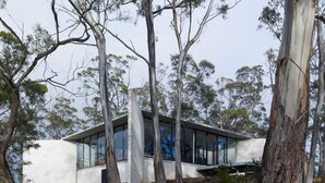 A modern building with large glass windows, surrounded by eucalyptus trees and rocky terrain.