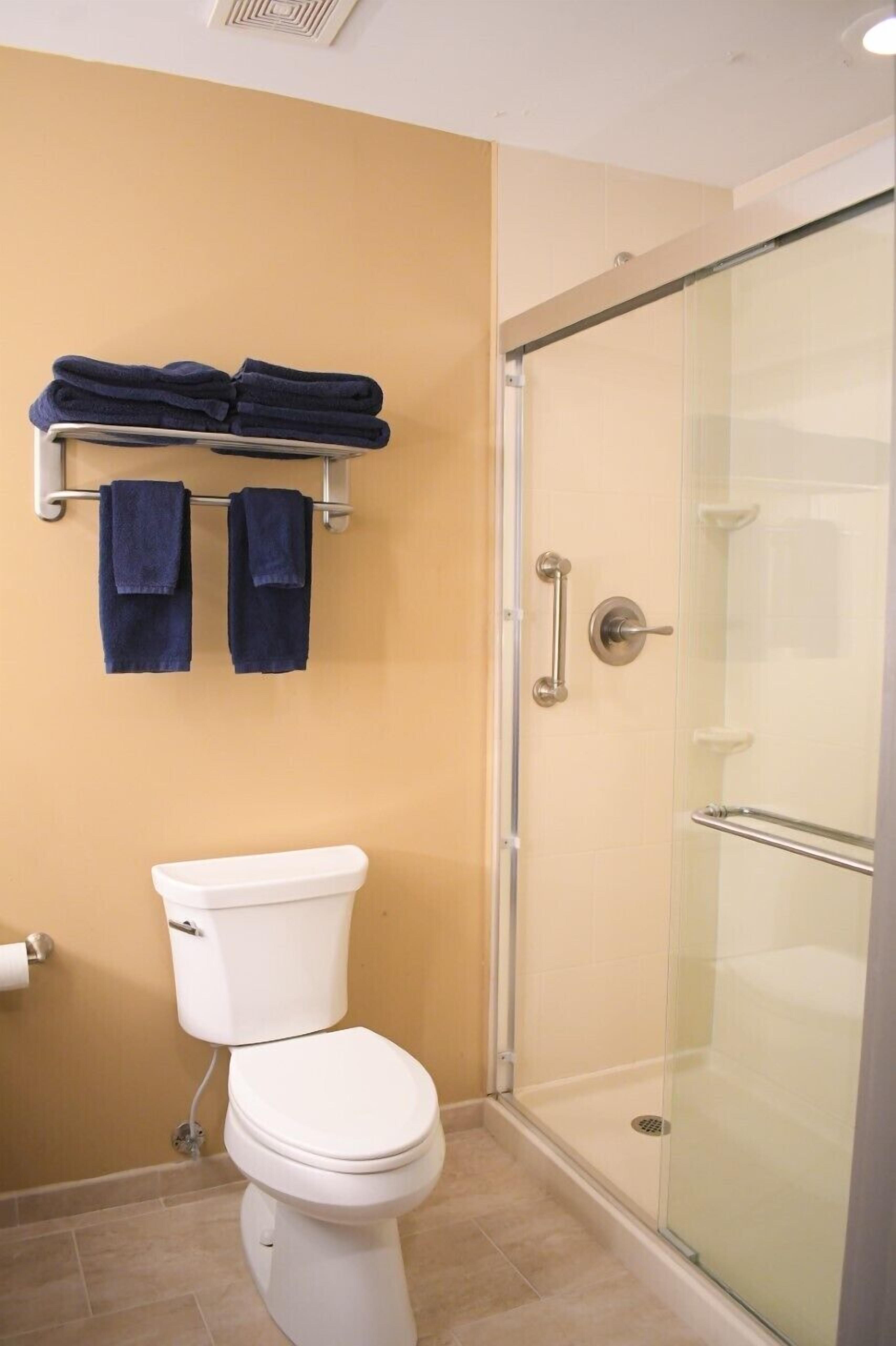combined shower/bathtub, free toiletries, hair dryer, towels