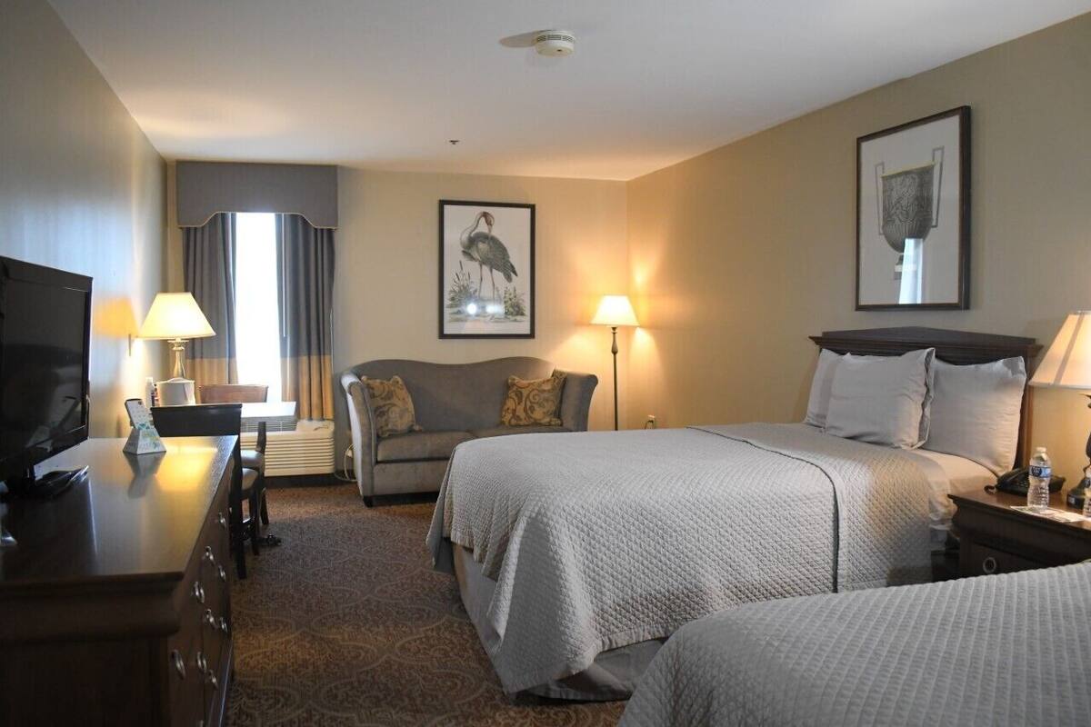 A hotel room with a bed, a sofa, a TV, and a desk.