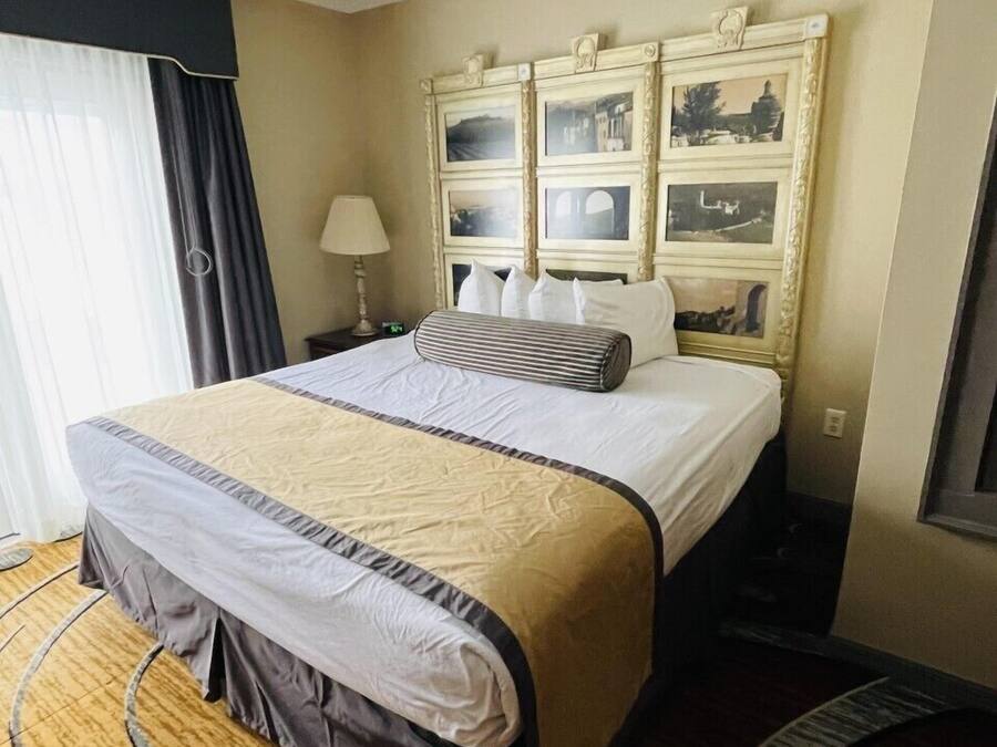 A hotel room with a large bed, a headboard with framed pictures, a bedside table with a lamp, and a circular carpet design.