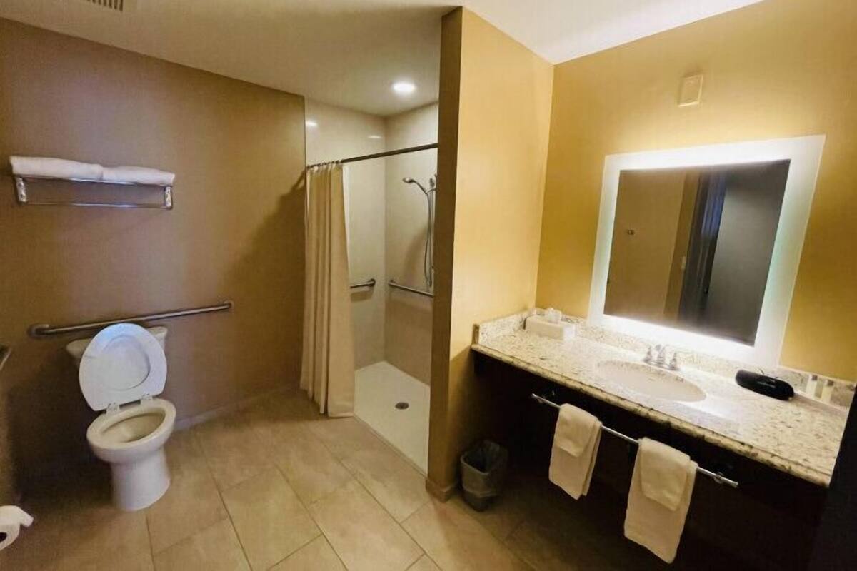 Deluxe Suite, Accessible | Bathroom | Free toiletries, hair dryer, towels, soap