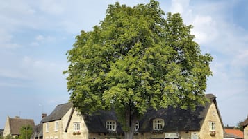 Esterni