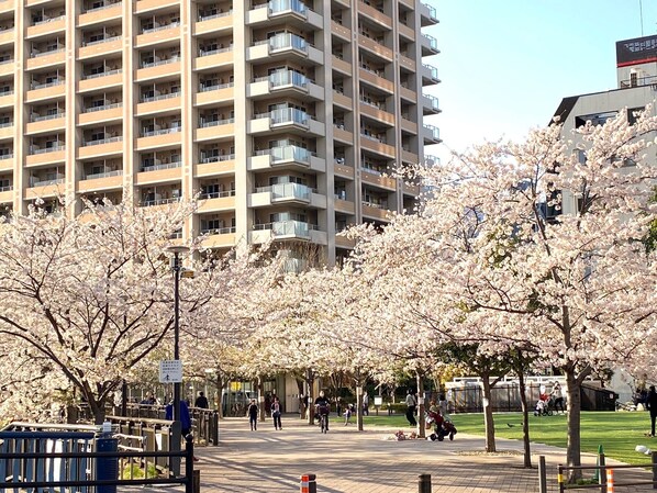 City view from property