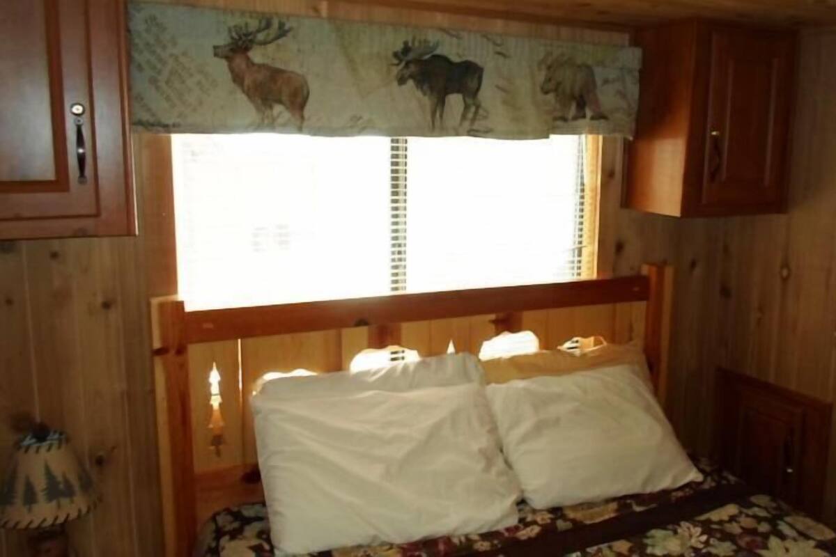 A wooden cabin room with a bed, a window with a curtain featuring animal prints, and a small cabinet.